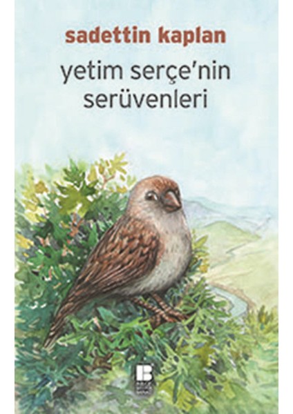 Yetim Serçe'nin Serüvenleri