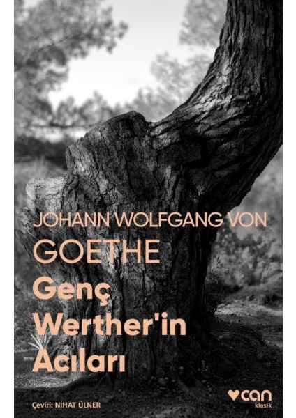 Genç Werther’in Acıları (Fotoğraflı Klasikler)