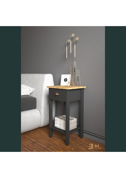 Retro Serisi Özel Tasarım Tek Çekmeceli Yatak Yanı Komodin Siyah & Safir Meşe fırsatları