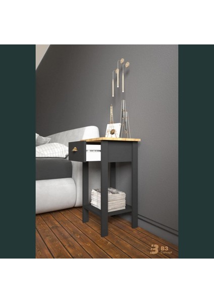 Retro Serisi Özel Tasarım Tek Çekmeceli Yatak Yanı Komodin Siyah & Safir Meşe