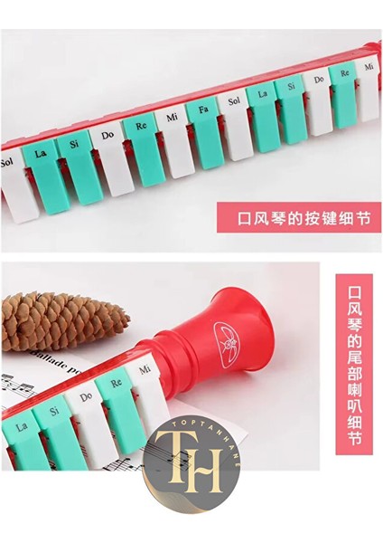 13 Tuşlu Melodika Çocuk Için Öğretici Oyuncak Başlangıç Seviyesi modelleri