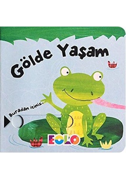 Sürgülü Kitaplar-Gölde Yaşam