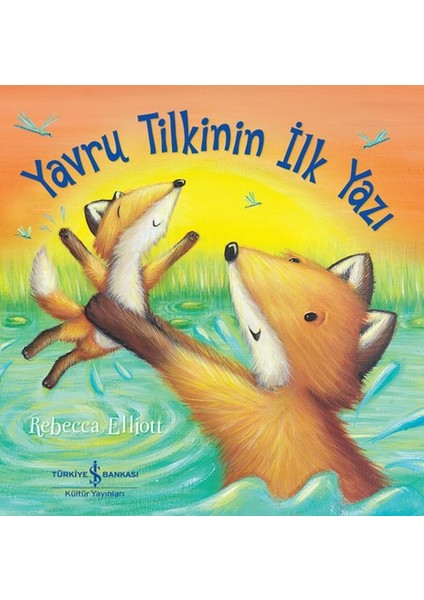 Yavru Tilkinin Ilk Yazı