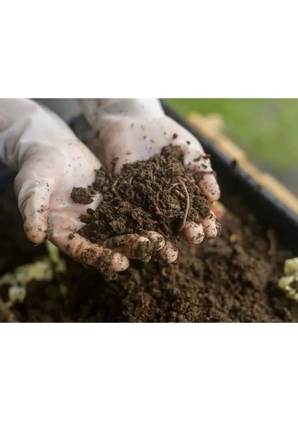 Organik Katı Solucan Gübresi 1 kg