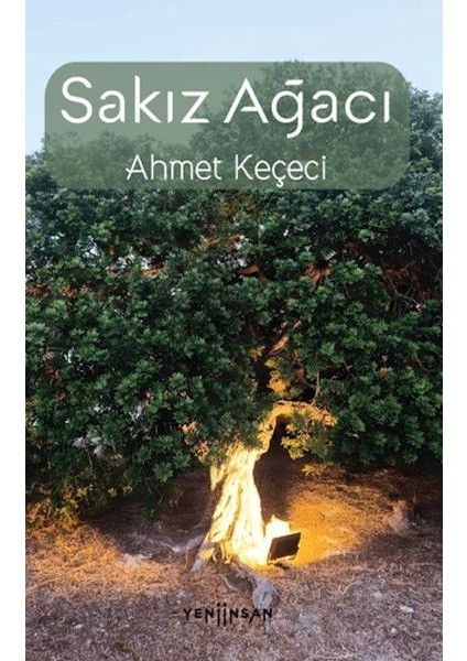 Sakız Ağacı