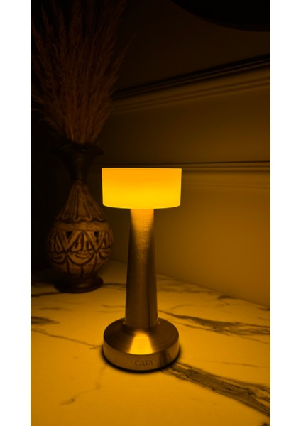 Denver Masa Lambası Altın Renk Dokunmatikanahtar 3 Renk Işık