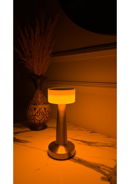 Denver Masa Lambası Altın Renk Dokunmatikanahtar 3 Renk Işık fiyatları