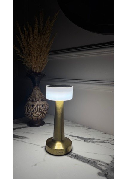 Denver Masa Lambası Altın Renk Dokunmatikanahtar 3 Renk Işık fırsatları