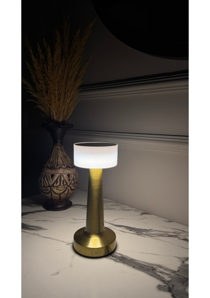 Denver Masa Lambası Altın Renk Dokunmatikanahtar 3 Renk Işık indirimleri