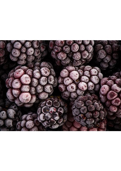 Freeze Dried Böğürtlen Dilimleri 10'lu Paket indirimleri