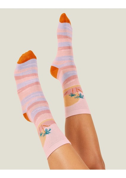 Sunset Sock Brights Multi modelleri