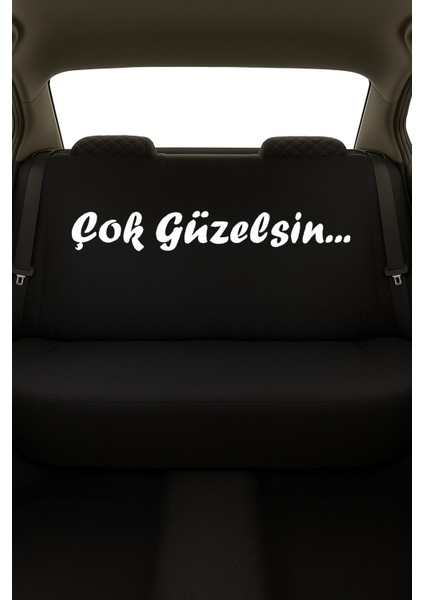 Çok Güzelsin 8 Parça Oto Koltuk Kılıf Seti (Ön + Arka Set, 2 Boyun Yastığı, 2 Kemer Kılıfı) fiyatları