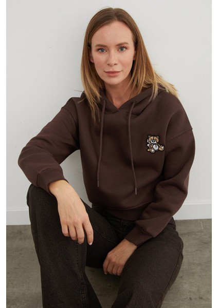 3 Iplik Ayıcık Nakışlı Kapüşonlu Sweatshirt