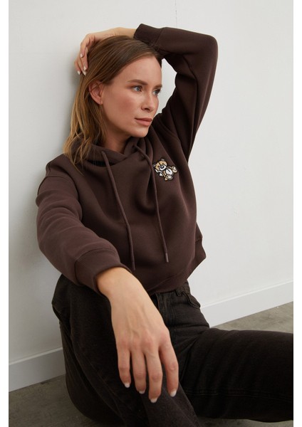 3 Iplik Ayıcık Nakışlı Kapüşonlu Sweatshirt fiyatları