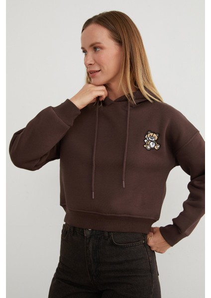 3 Iplik Ayıcık Nakışlı Kapüşonlu Sweatshirt fırsatları