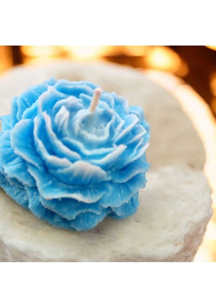 Mavi Şakayık Çiçeği Mum fırsatları