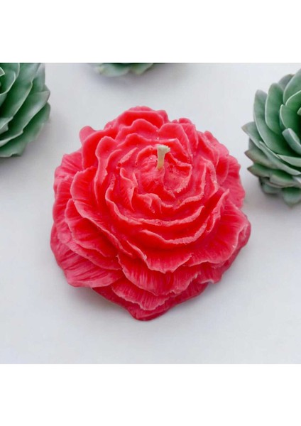 Şakayık Çiçeği Mum