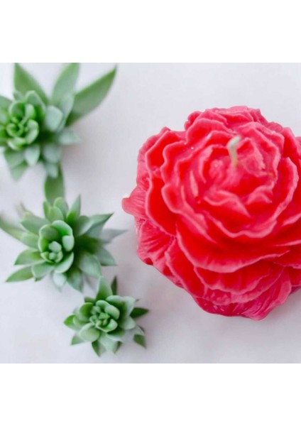 Şakayık Çiçeği Mum fiyatları