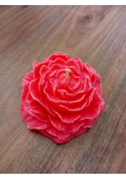 Şakayık Çiçeği Mum fırsatları