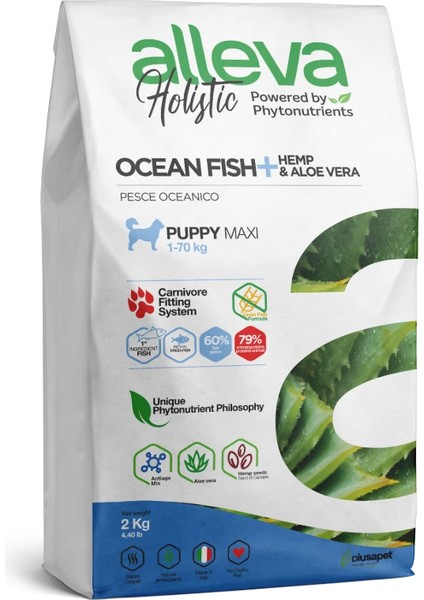 Holistik Balık Tahılsız Maxi Yavru Köpek Maması 2 kg