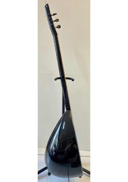 Elektro Bağlama Leslili 1 modelleri