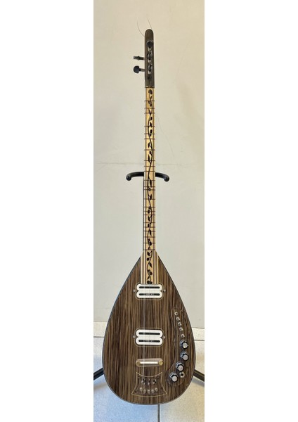 Elektro Bağlama Leslili 1 fırsatları