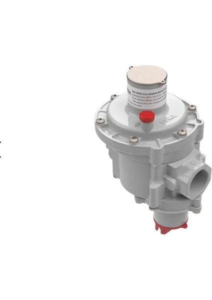 Erg-E Doğalgaz Regülatörü 1" 500-21 Mbar (Shut Off) modelleri