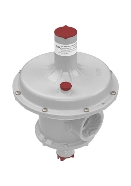 Erg-E Doğalgaz Regülatörü 11/2" 500-21 Mbar (Shut Off) fiyatları
