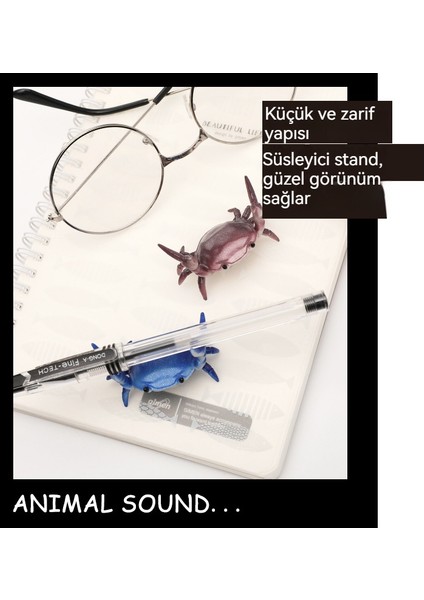 Ağırlık Kaldırma Yengeci, Kalem Tutucu ve Kalem Standı Süsü (Yurt Dışından) modelleri