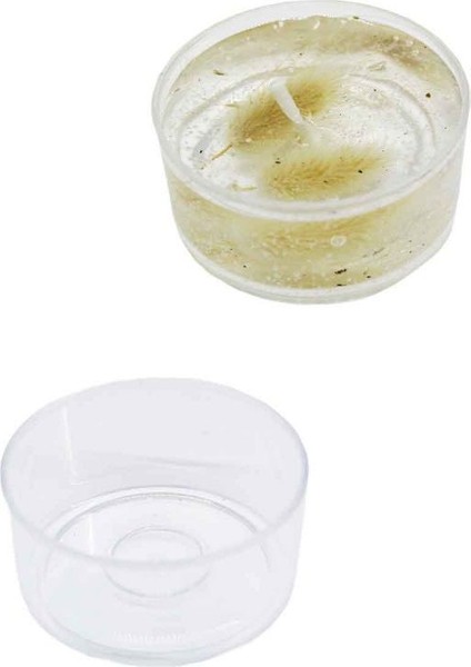 Mika Kutu Silindir Mumluk 2.5x5 [100 Adet]