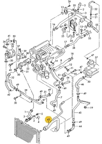 Motor Üst Soğutma Radyatör Hortumu Su Besleme Borusu A6L Için (Yurt Dışından) indirimleri