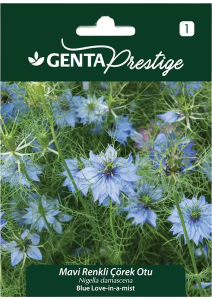 Prestige Mavi Çörekotu Tohumu – Love-In-A-Mist, Yoğun Gölgeli Bract’lı Bahçe Çiçeği