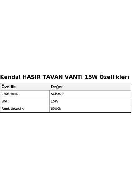 Hasır Tavan Vanti 15W – 20"hasır Tavan Vantilatör fiyatları