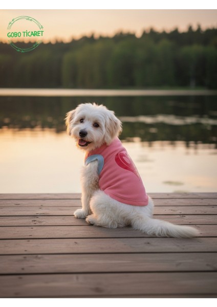 Şeker Pembe Renkli Kedi ve Köpek Kıyafeti Elbisesi Love Baskılı