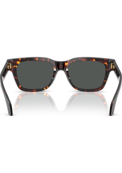 Güneş Gözlüğü VE4486 52 550987 fiyatları