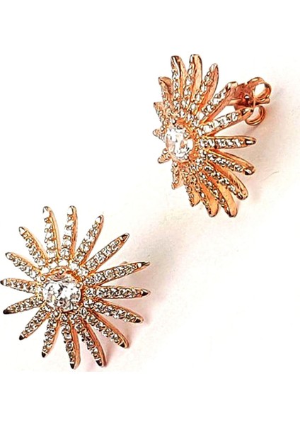 Pırlanta ışıltısında zirkon taşlı gümüş bayan küpe