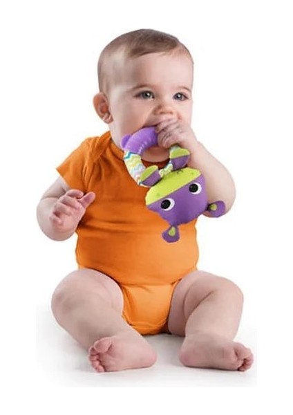 Bright Starts Sevimli Çıngırak & Dişlik arkadaşım Hipo fiyatları