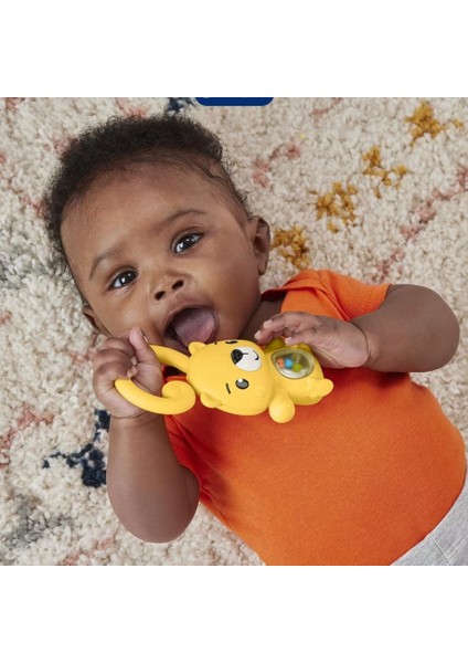 Fisher Price Eğlenceli Dostlar Çıngıraklı Dişlik HJW11-HKD71 fiyatları