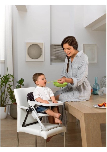 Chicco Chairy Yükseltici Mama Sandalyesi - Laydbug