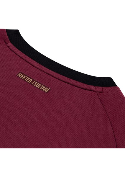 Gsk Third Jersey Replica W/o Erkek Galatasaray 25/26 Alternatif Forması 77981303 Kırmızı fiyatları