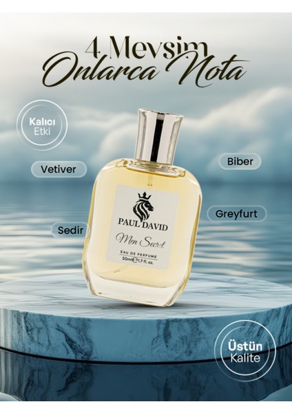 E141 Odunsu Baharat Edp Parfüm Uzun Süre Kalıcı 50ML fiyatları