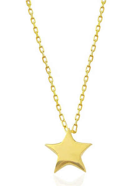 925 Ayar Gümüş Gold Yıldız Kadın Kolye (BC-648A38) fiyatları