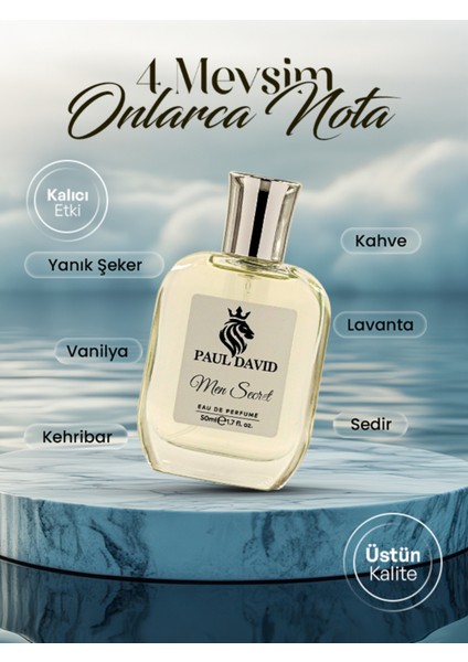 E-249 Odunsu Baharat Edp Parfüm Uzun Süre Kalıcı 50ML fiyatları