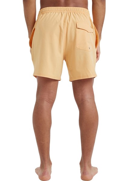 EQYJV04118-NGR0 Surfsilk Solid Volley 16 Erkek Şort Mayo
