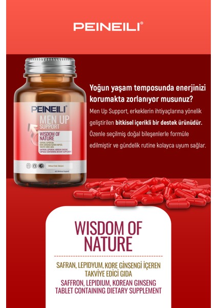 Men Up Support Safran Lepidyum Kore Ginsengi Içeren Takviye Edici Gıda 60 Tablet modelleri