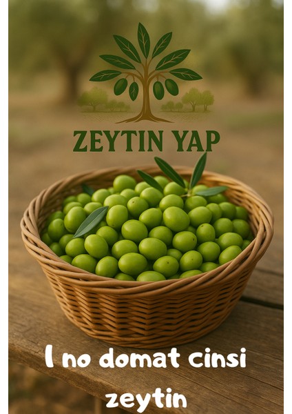 1. Boy Ham Yeşil Zeytin – 1 KG(2025 Yeni Mahsul) fırsatları