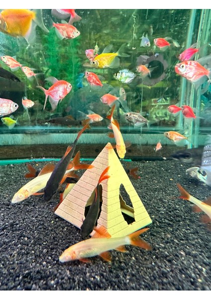 Akvaryum Piramit Dekor –Suya Batan Model modelleri