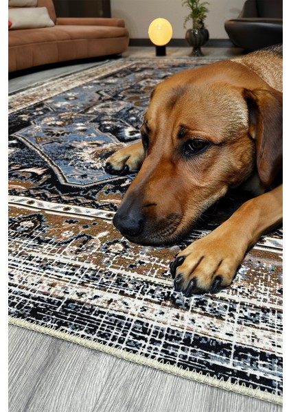 Modern Klasik Desenli Mavi Kahverengi Vintage Halı Pamuk Taban Salon ve Yatak Odası Halısı MARS2243 indirimleri