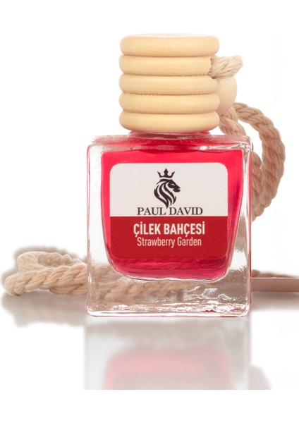 Dekoratif Araç Oto Kokusu Çilek Bahçesi 10ML modelleri