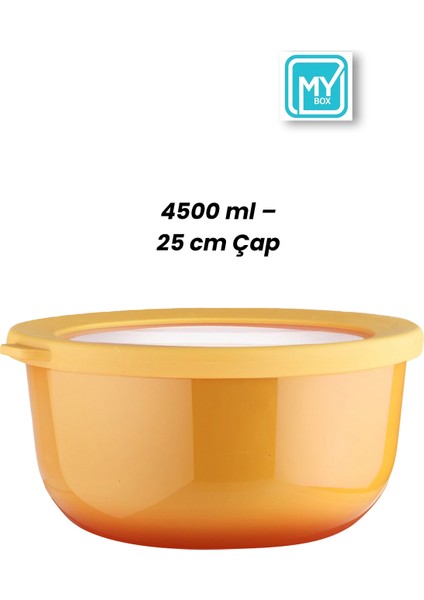 Ayza 4,5 Lt Hamur Yoğurma Kabı - Kapaklı Yuvarlak Badya Leğen - Çok Amaçlı Karıştırma Saklama Kabı fırsatları